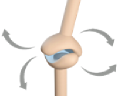 <p>Saddle joints</p>