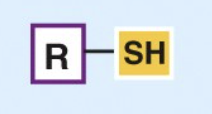 <ul><li><p>By giving up H, two —SH groups can react to form a disulfide bridge (S—S), stabilizing protein structure</p></li></ul><p></p>