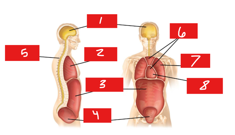 <p>4</p>