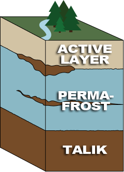 The upper layer of permanently frozen soil that thaws briefly during the summer