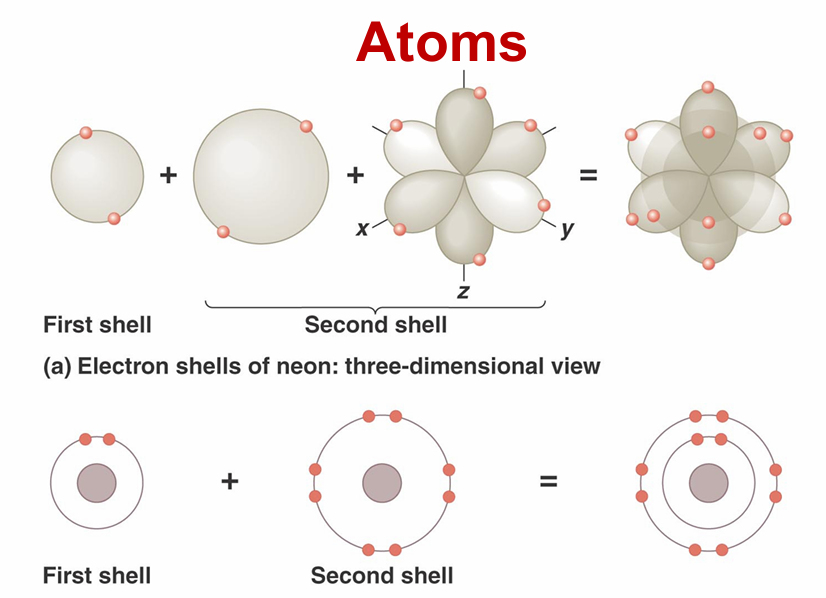 <p>first shell- can hold two electrons</p><p>second shell can hold up to 8 electrons</p>