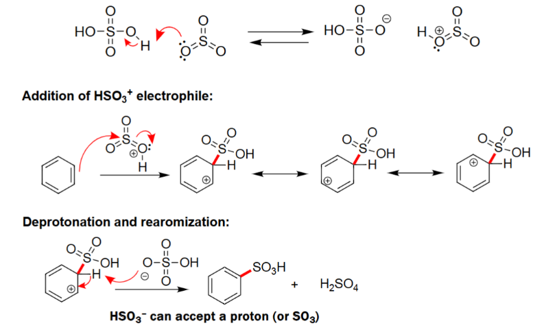 <ul><li><p>Forms its conjugate base and acid as byproducts.</p></li><li><p>Benzene reacts with unstable electrophile.</p></li><li><p>Forms a benzene with a HSO<sub>3</sub>&nbsp;group attached.</p></li><li><p>Needs acid and heat to react.</p></li></ul><p></p>