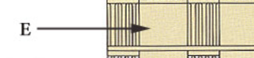 <p><span style="font-size: medium;">&nbsp;A horizontal beam on top of the architrave that is carved.</span></p>