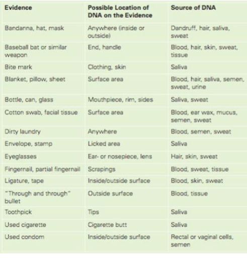 <ul><li><p><span><span>All cells (except RBCs) contain nucleus so could provide DNA for analysis</span></span></p></li><li><p><span><span>PCR is very sensitive - only trace amounts of material needed</span></span></p></li><li><p></p></li></ul><p></p>