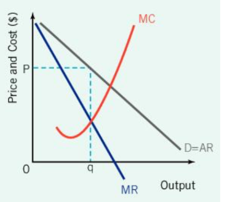 <p>Monopolistic Competition</p><p>Because firms are price makers to some extent, this will result in</p>