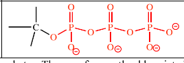 <p>-triphosphate </p>