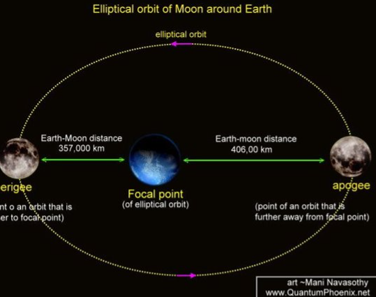 <p>point of an orbit that is further away from focal point</p>