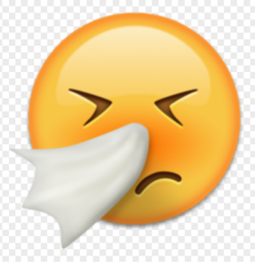 term image