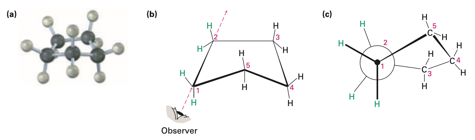 <ul><li><p>no angle strain</p></li><li><p>large torsional strain</p></li><li><p>non planar conformations strike balance between increased angle strain and decreased torsional strain</p></li><li><p>four carbon atoms are approximately in the same plane</p><ul><li><p>fifth carbon atom is bent out of plane</p></li></ul></li></ul><p></p>