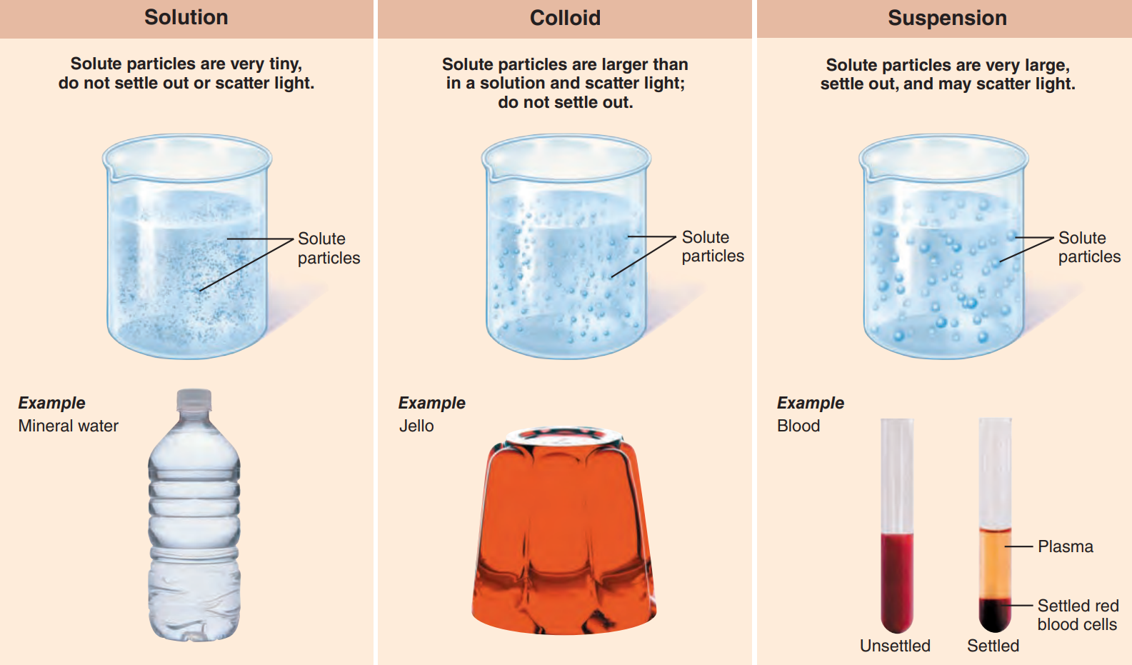 The three basic types of mixtures.  | © Marieb & Hoehn's Human Anatomy & Physiology