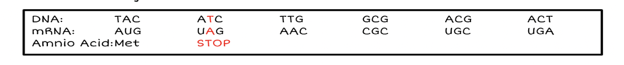 <p>Change in Mutation: Point</p>