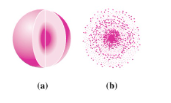 <p>can hold 2 e-</p>