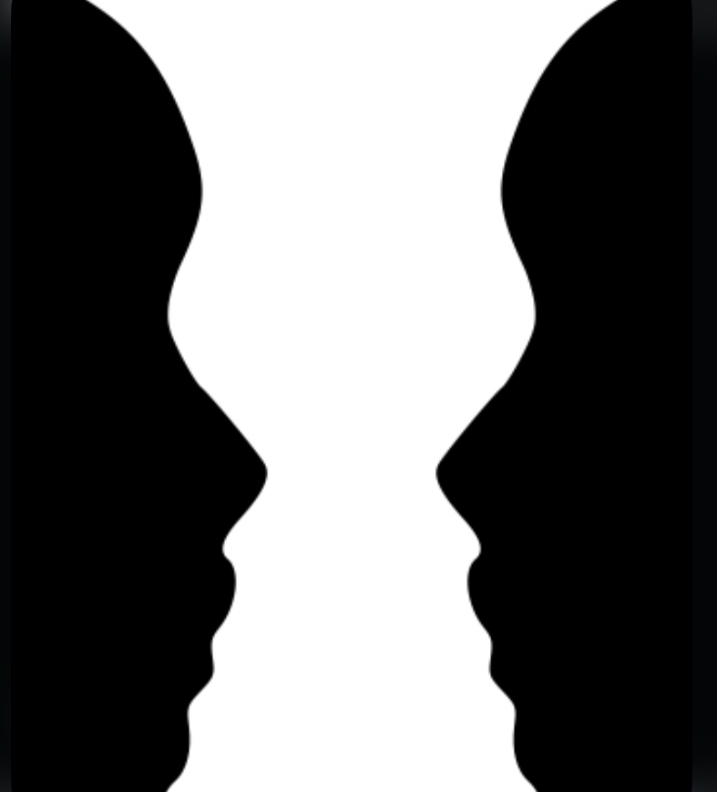 <p>explains why this can be perceived either a vase or a pair of faces </p>
