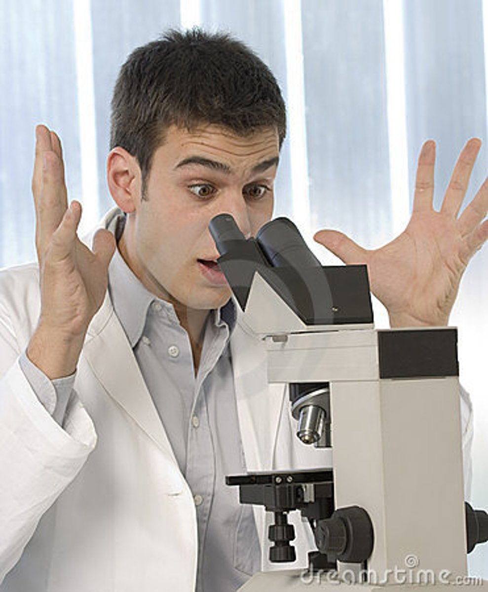 <p>observation</p>