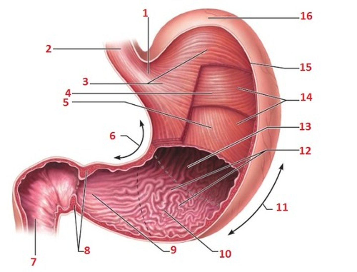<p>1</p>