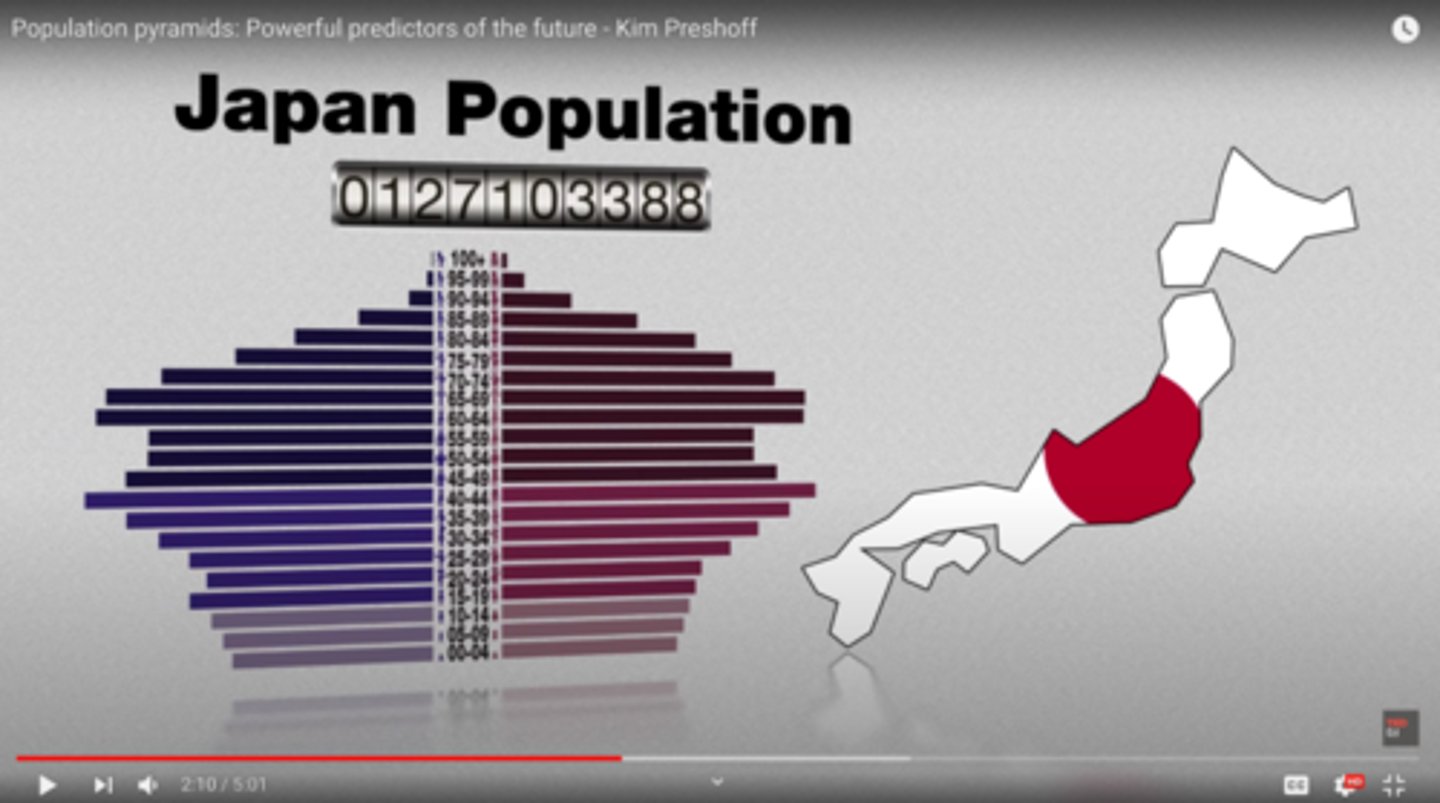 <p>decline (negative population growth)</p>