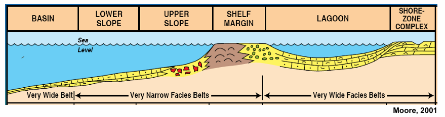 <p><span>Shelf margin break (</span>High organic productivity<span>), reef growth or carbonate sand bodies</span></p><p><span>Ocean facing shelf margin -&gt; high energy + turbulen</span>t</p><p>e.g the Bahamas</p>