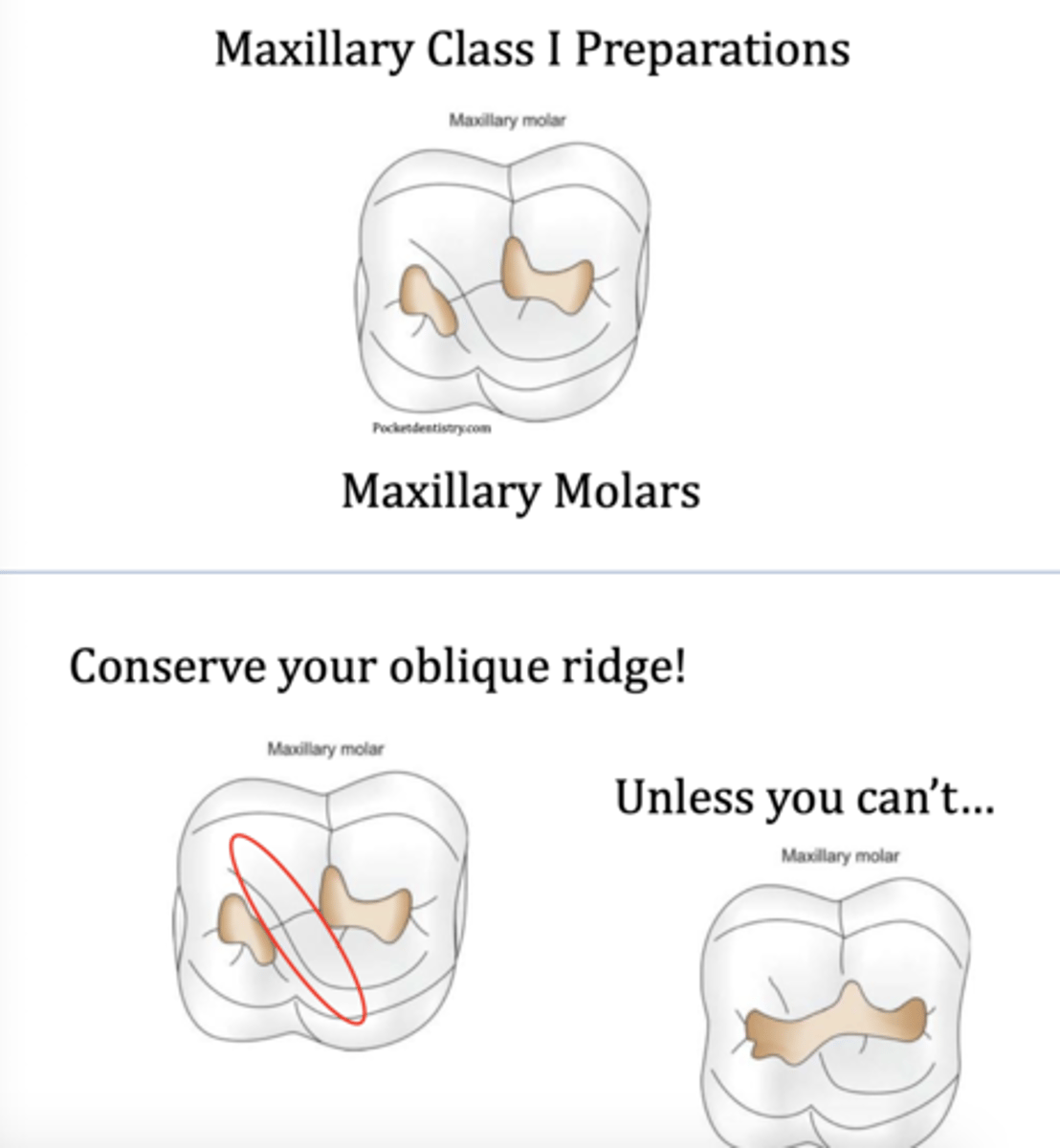 <p>respect the oblique ridge</p>