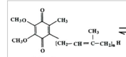 <p>What structure is this?</p>
