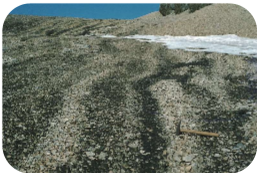 * Type of patterned ground periglacial landform
* Tend to happen in very steep areas
  * Common in hilly areas
* Sorting of the finer and coarser material in a linear form