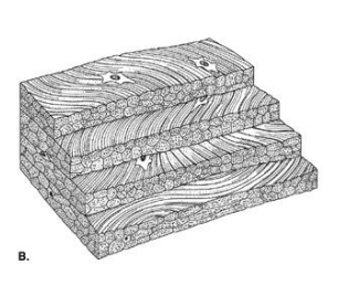 <p>Sheets (connects bones)</p>