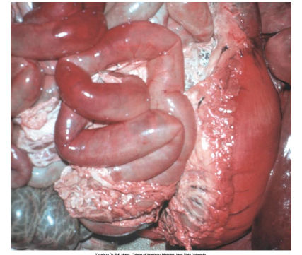 <p>What is this?</p>