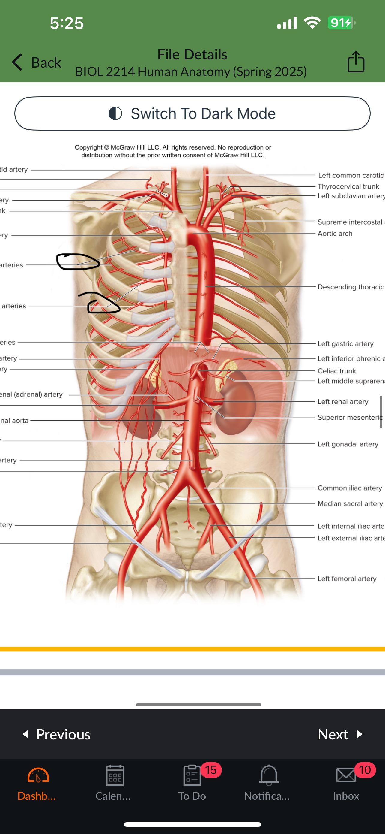 knowt flashcard image