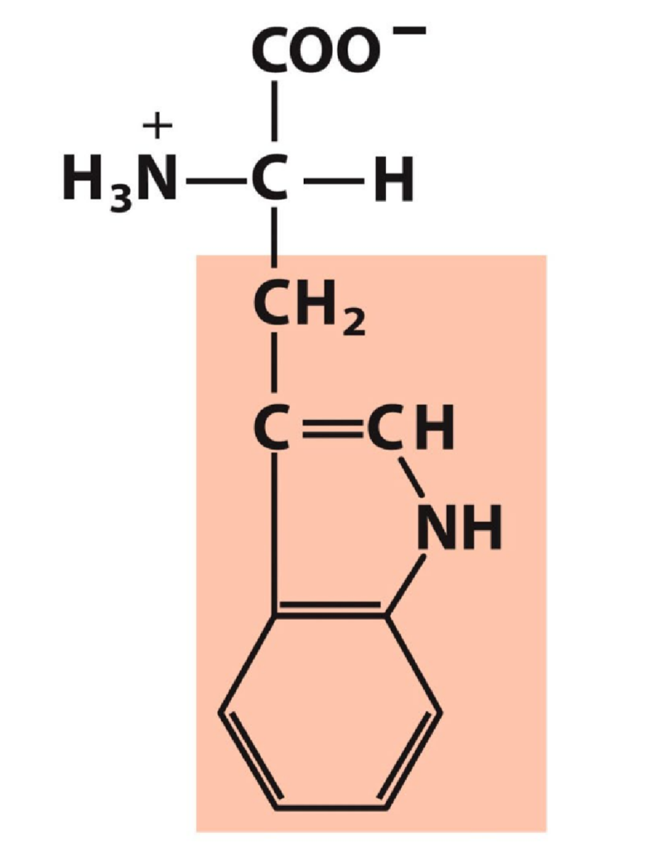 <p>Aromatic, slightly polar</p>