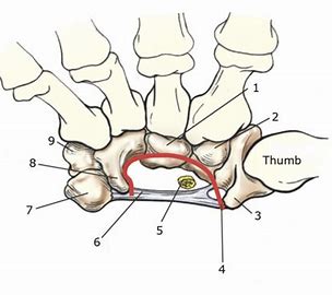 What is number 6?