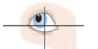 <p>elevation and abduction with lateral rotation</p><p>-looks up and out; opposite of where it’s located</p><p>-CN III</p>