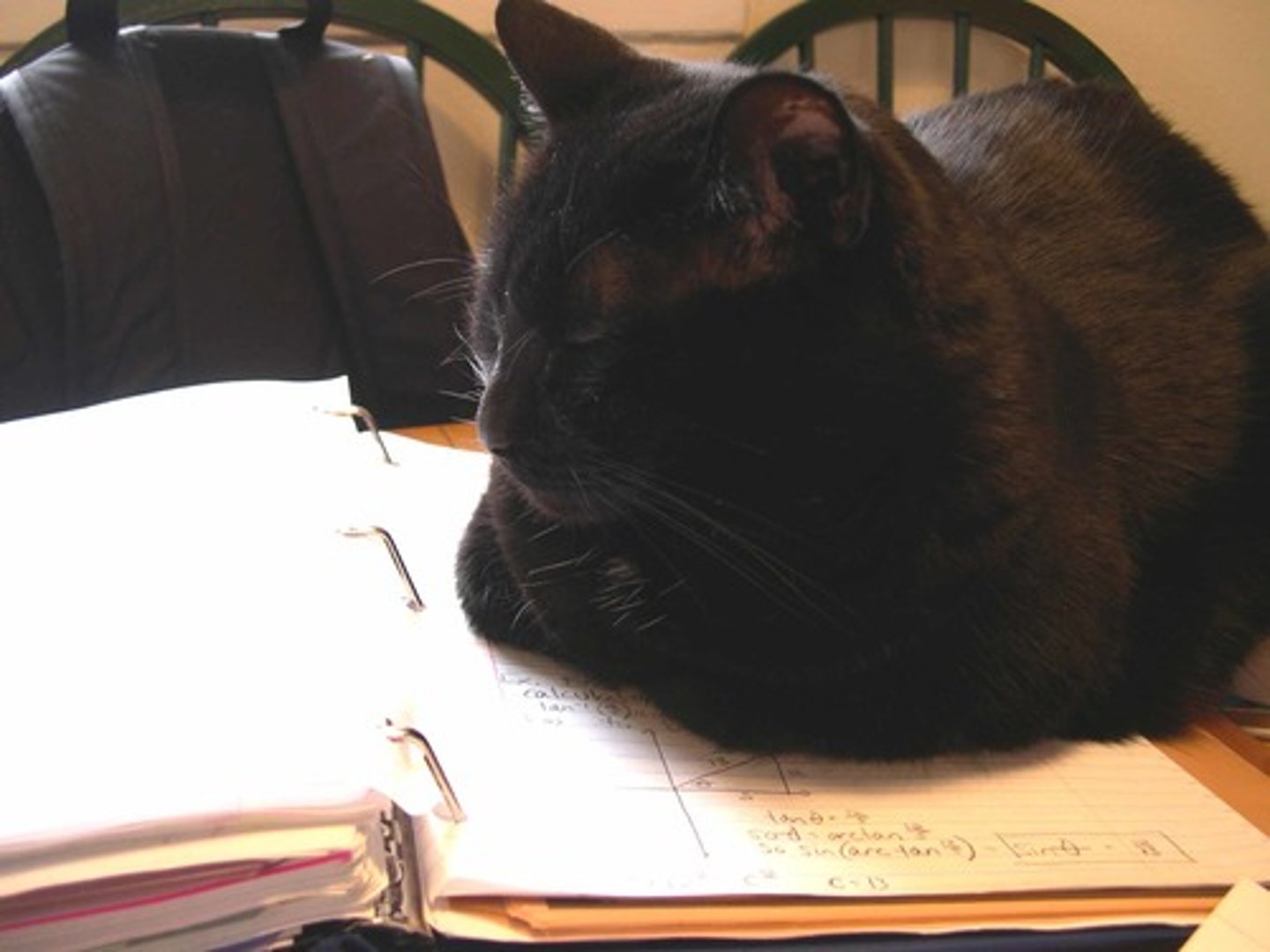 <p>To Do Homework</p>