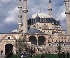 term image