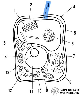 <p>What is the highlighted area called</p>