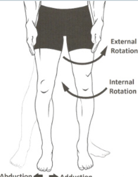 <p>rotation of a limb inwardly or towards the midline of the body</p>