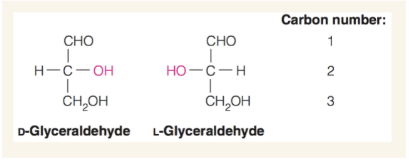 <p>the C in the CHO group (aka where the aldehyde group is attached)</p>