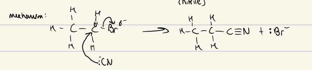 knowt flashcard image