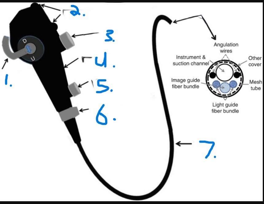 <p>Bronchoscope parts</p><p></p>