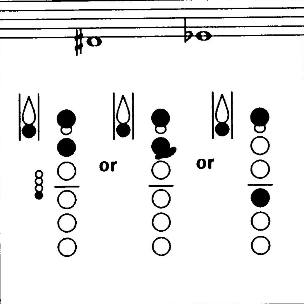 <p>What notes are these?</p>