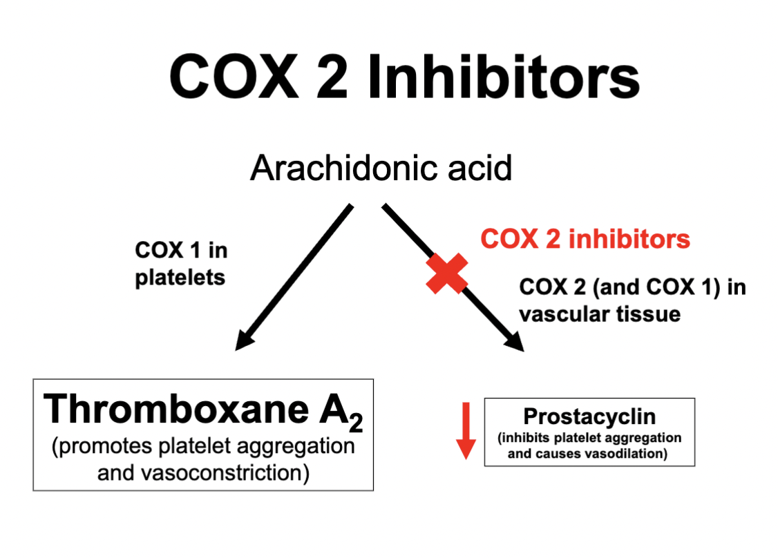 <ul><li><p>Renal effects</p><ul><li><p>Use with caution in renal impairment</p></li><li><p>Use with caution in cardiac failure</p></li></ul></li><li><p>HTN exacerbation</p></li><li><p>Stroke</p></li></ul><p></p><p><strong><em><mark data-color="#8100ff" style="background-color: rgb(129, 0, 255); color: inherit;">This is because inhibiting COX 2 reduces prostacyclin conc, which leaves elevated levels of TXA2. When TXA2 levels are elevated and there is an imbalance, platelet aggregation and vasoconstriction is increased</mark></em></strong></p><p></p>