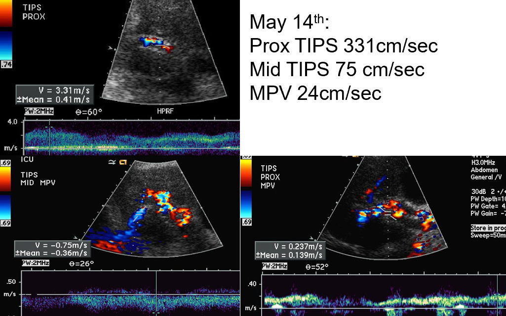 <p>what does this show?</p>