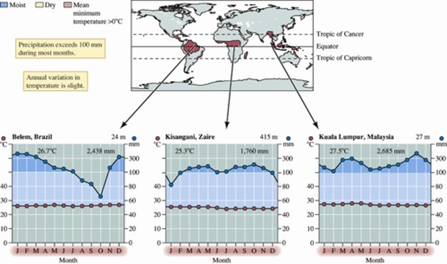 <p>A warm and wet biome found between 20° N and 20° S of the equator, with little seasonal temperature variation and high precipitation.</p>