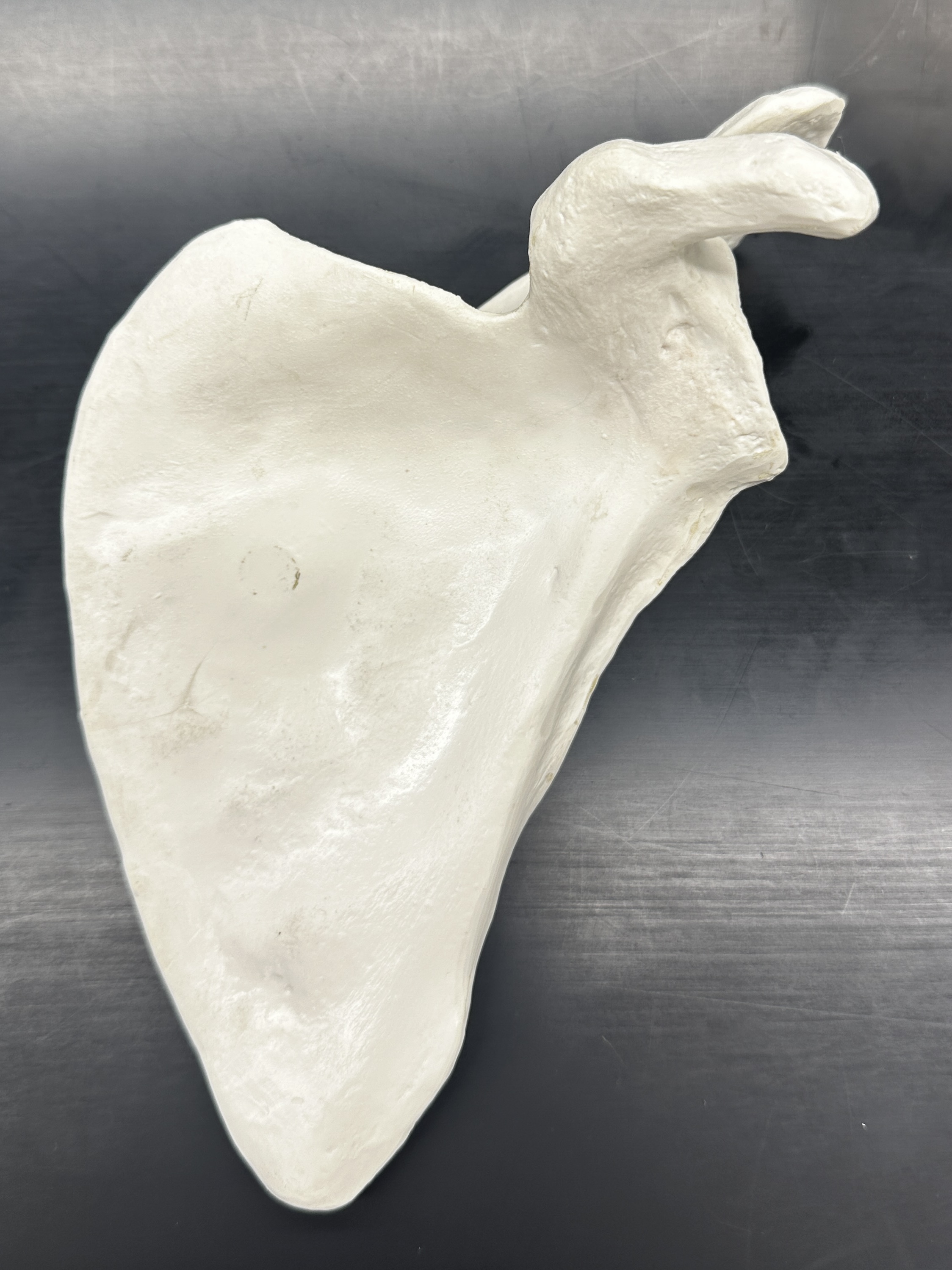 <p>What is this and how do you orient it?</p>