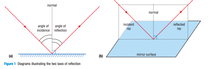 <ol><li><p>Angle of incidence = angle of reflection</p></li><li><p>Incident ray, reflected ray, and normal all lie in the same plane</p></li></ol>