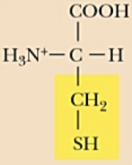 <p>Name (Abbr.) - polarity, a/n/b</p>