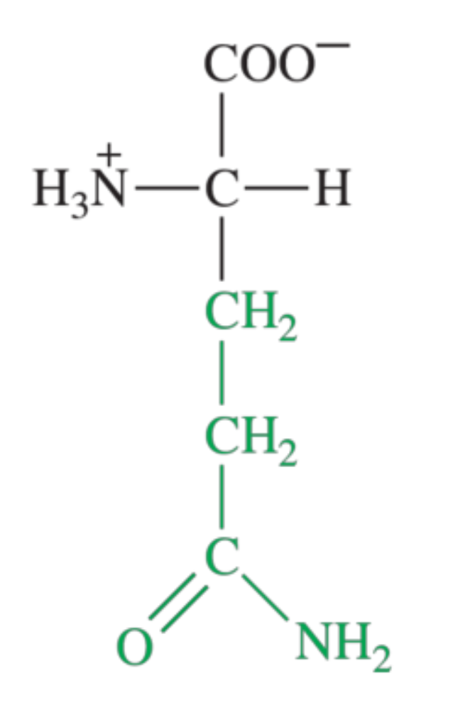 <p>What amino acid is shown in the image?</p>