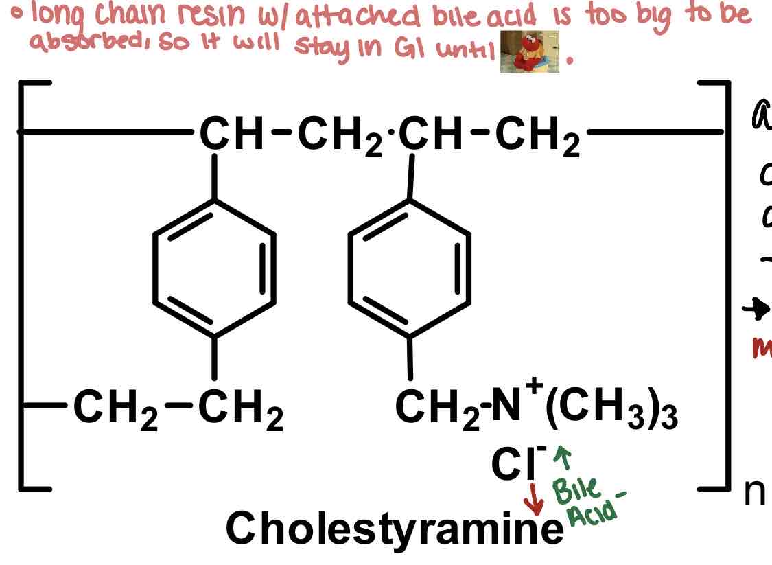 <p>How do bile acids work: example cholestyramine</p>