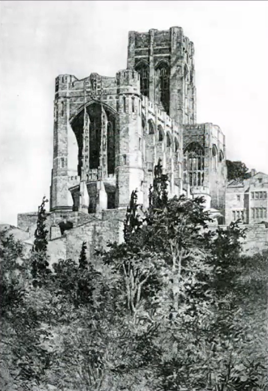 term image