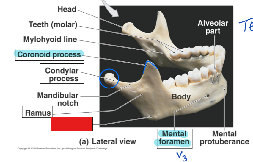 <p>fill in the red box</p>