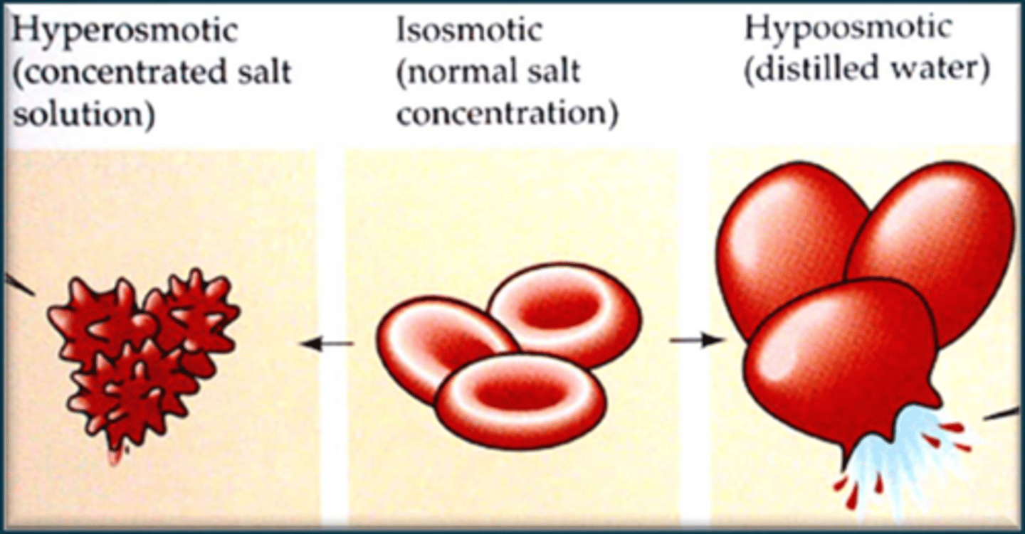 <p>They have the same osmolarity.</p>