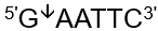<p>What does the arrow indicate?</p>